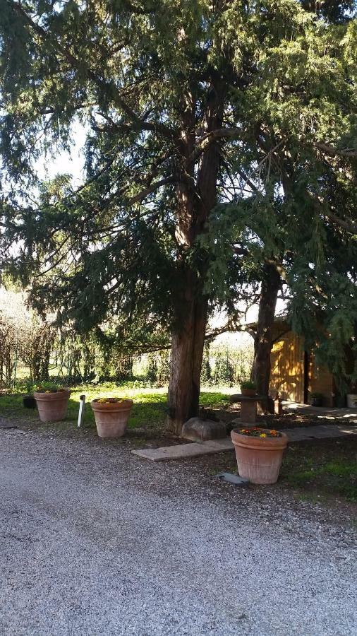 Al cancello Bed and Breakfast Módena Exterior foto
